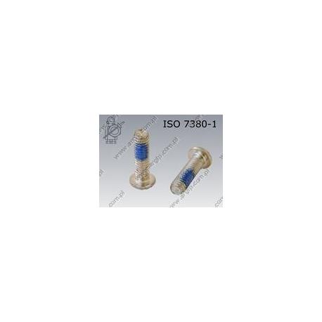 Hexagon socket button head screw  FT M10×25-010.9 zinc plated DIN 267-28 KLF ISO 7380-1