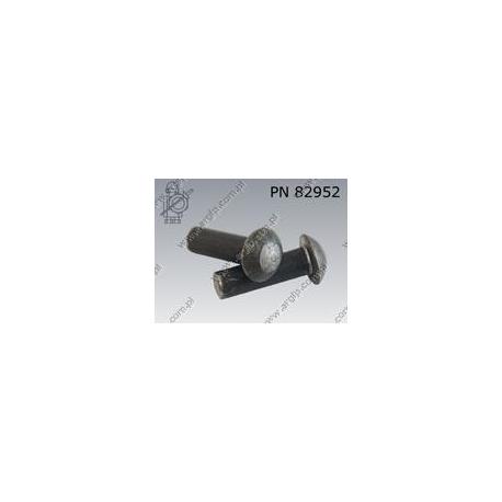 Round head rivet  10×20    DIN 124