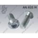 Screw connectors for profiles  M12×30-8.8 zinc plated  AN 605