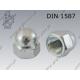 Dome cap nut  M 8-6 zinc plated  DIN 1587