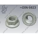 Hexagon flange nut  serr. M16-8 fl Zn  ~DIN 6923