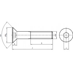 11 Binnenzeskant  verzonken kop 10 x 80 mm
