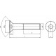 14 Binnenzeskant  verzonken kop 12 x 110 mm