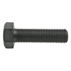 01 Bout M22 x 1.50 x 50 mm lang