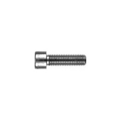 10 Binnenzeskantbout M8 x 35 mm,CK rvs A4