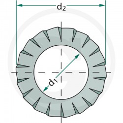 07 Tandveerringen 12 mm per stuk