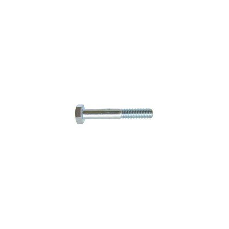 13 Zeskantbout M6 x 65 mm 8.8 per stuk