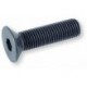 07 inbus 20 x 80 mm pk 10.9 zwart per 25