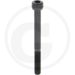 06 Binnenzeskant M 10 x 1,25  x 60 mm  12.9 per stuk