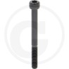06 Binnenzeskant M 10 x 1,25  x 60 mm  12.9 per stuk