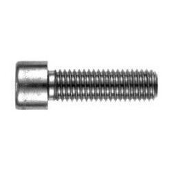 10 Binnenzeskantbout M5 x 25 mm,CK rvs A4