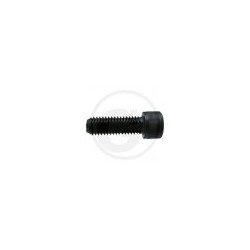 04 Binnenzeskant M 10 x 1,25 x 35 mm 12.9 per stuk