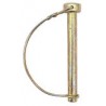 06 Buis pen 9.5 x 67 x 57 mm