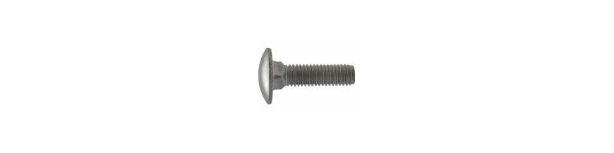 Slotbouten 5 MM RVS