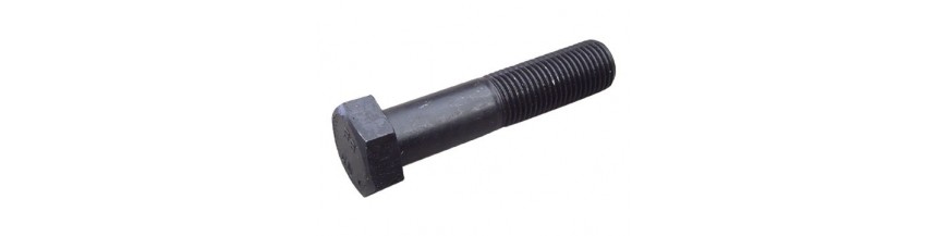 Zeskantenbouten 8 mm met borst