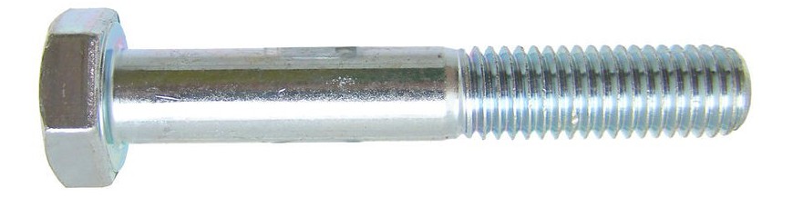 Bouten 10 mm  met borst RVS
