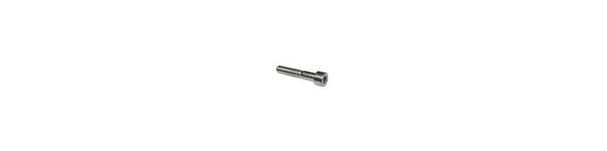 Inbus bouten 6 mm