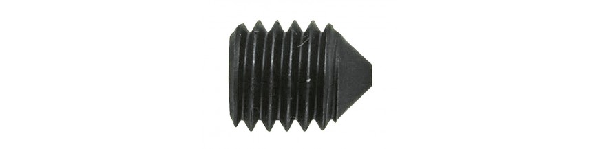 Inbusstelbouten 12 mm met punt