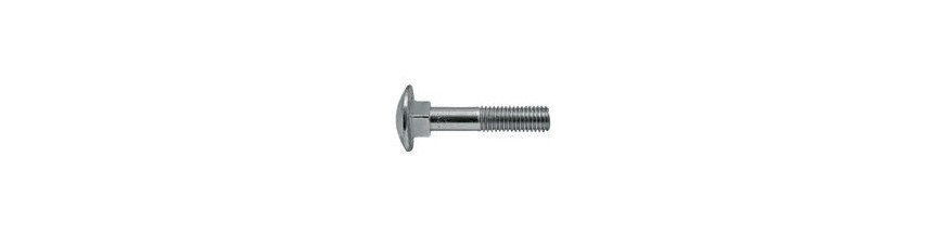 Slotbouten 10 MM verzinkt 8.8