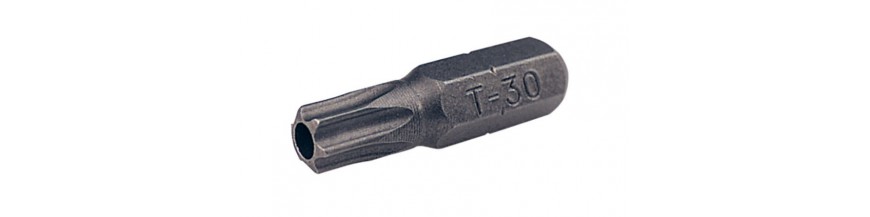 Bitjes torx met gat