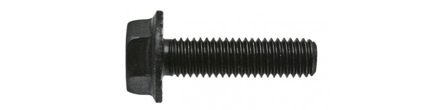 Flensbouten