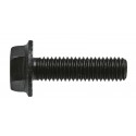 Flensbouten 12 mm zwart