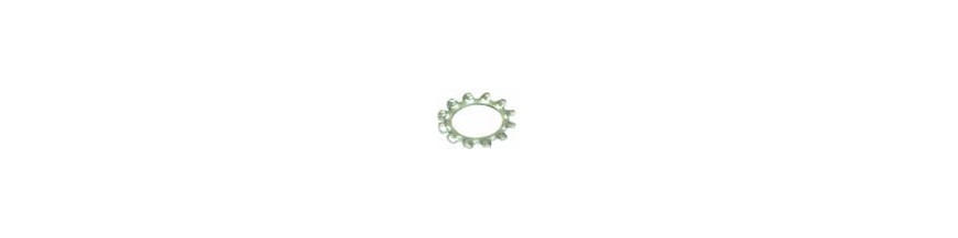 Tandveerringen per verpakking