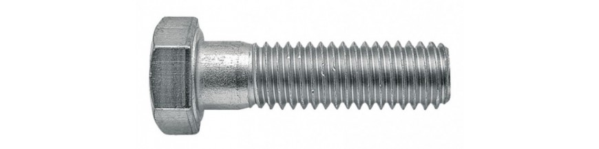 Zeskantbouten 5/8  UNC met borst