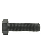 Bouten voldraad 5 mm 10.9