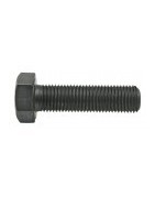 Bouten Voldraad 30 mm 10.9